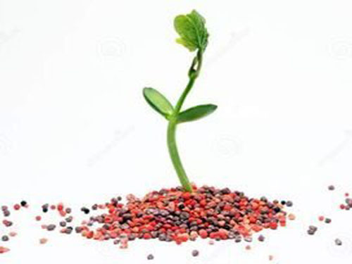 化肥类火车广告